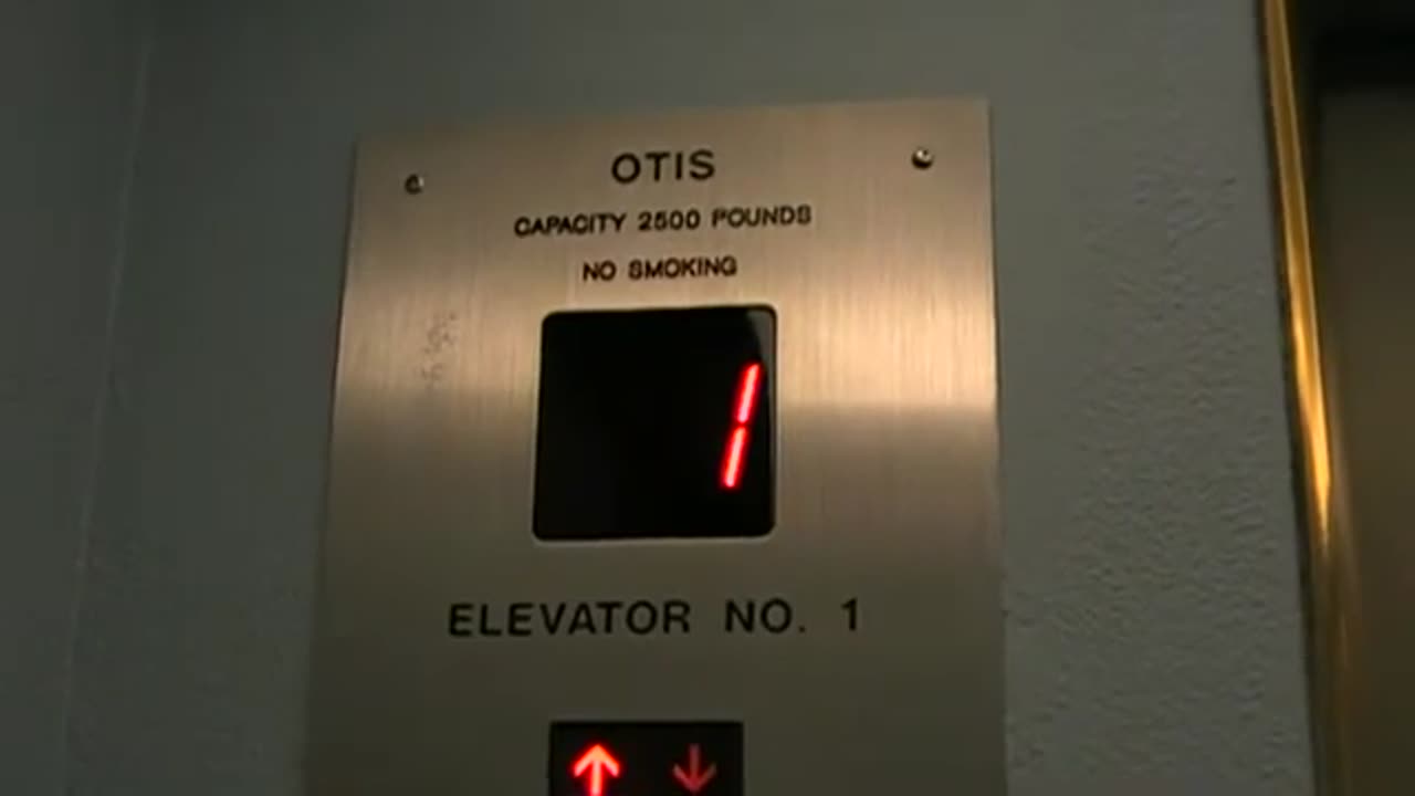 thornes market elevator January 5 2010