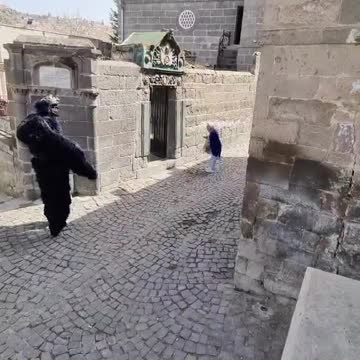 funny|prank|jokes|funny jokes|dad jokes|funny memes|funny video|fun|laughing|funny animal|knock