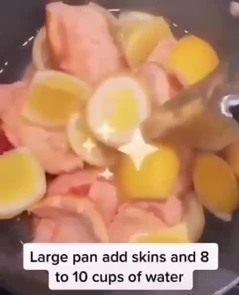 How to make natural Hydroxychloroquine at home