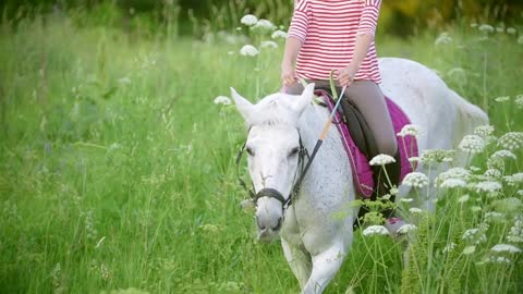 Young woman galloping on horse through the meadow at summer evening