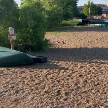 Swimming lessons today!