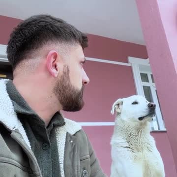 funny|prank|jokes|funny jokes|dad jokes|funny memes|funny video|fun|laughing|funny animal|knock