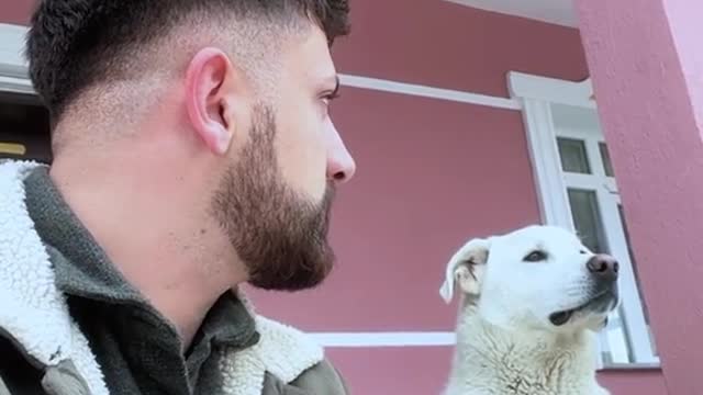 funny|prank|jokes|funny jokes|dad jokes|funny memes|funny video|fun|laughing|funny animal|knock