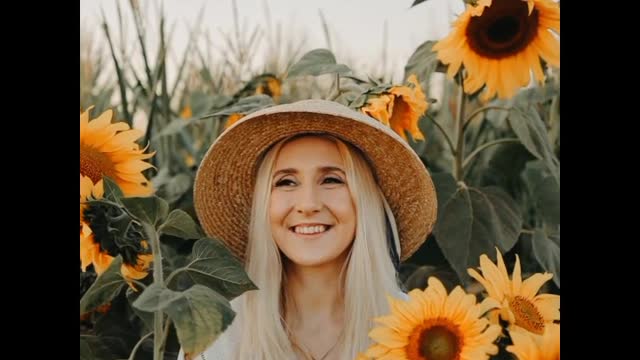 Sunflower seeds and how it looks like