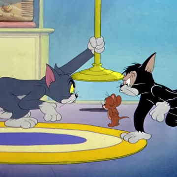 Tom & Jerry
