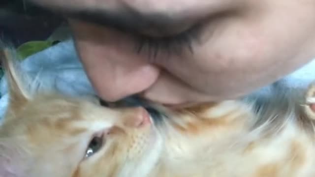 he wanted to hate the kisses so much