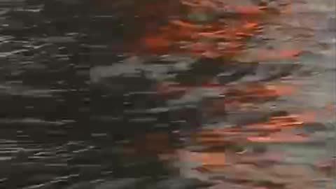 Yate incendiado