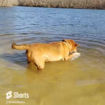 What is this Crazy Boy Doing ?