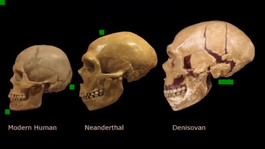 Did We Find The Skull Of A New Human? | The Dragon Man