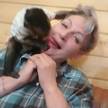 Мироша и гости