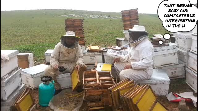 Beekeeper talks about the essential tools