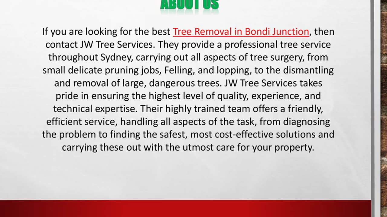 Tree Removal in Bondi Junction