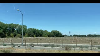 The Countryside: Part II