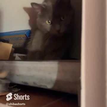 Sometimes I wonder if she’s Half Spider