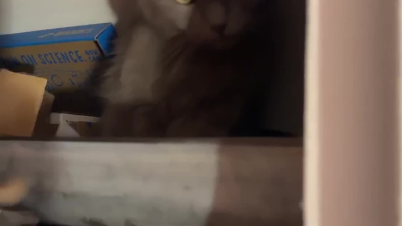 Sometimes I wonder if she’s Half Spider
