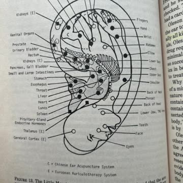 tell me who you are?