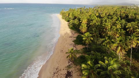 The beautiful ocean from Caribbean 🏝