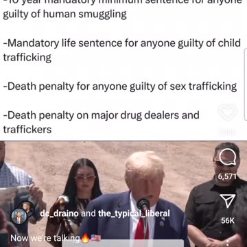 Trump Border Security Policy. This is the ONLY way to deal with crime.