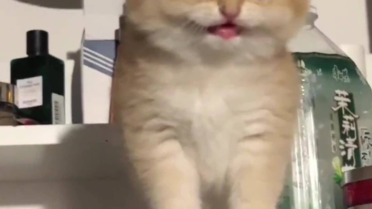 Wao wao cute๐๐