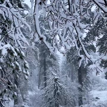 Gorgeous Snowfall at Big Bear Lake | Take a Moment to Relax