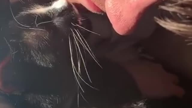 Rescue cat who was too scared to come out of the bathroom has spa days with Dad now 💞