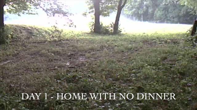 Bobcat Has Squirrel For Dinner