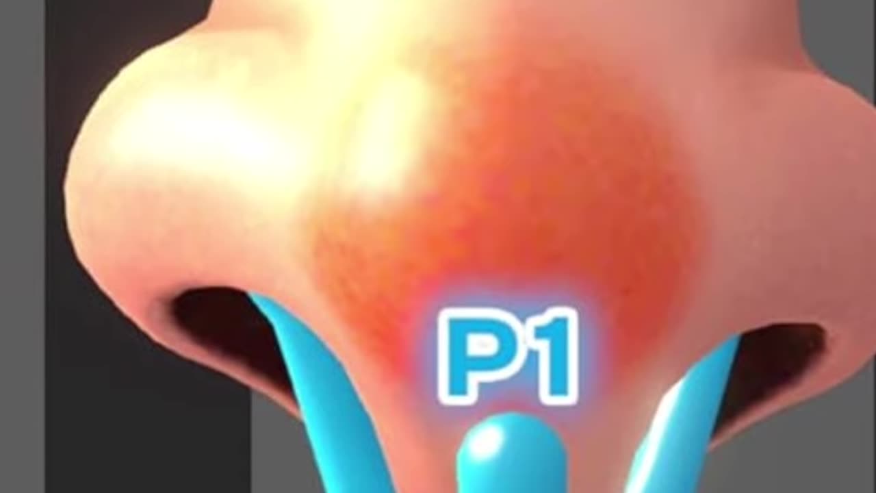 WarioWare Move It