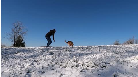 Dog Is Speed Runing