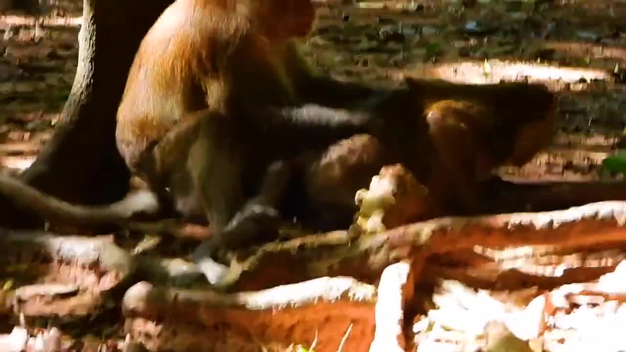 OMG, Very Good Feeling With Young Lady.