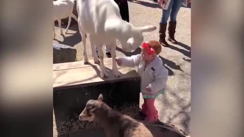 very funny video with children and animals #1
