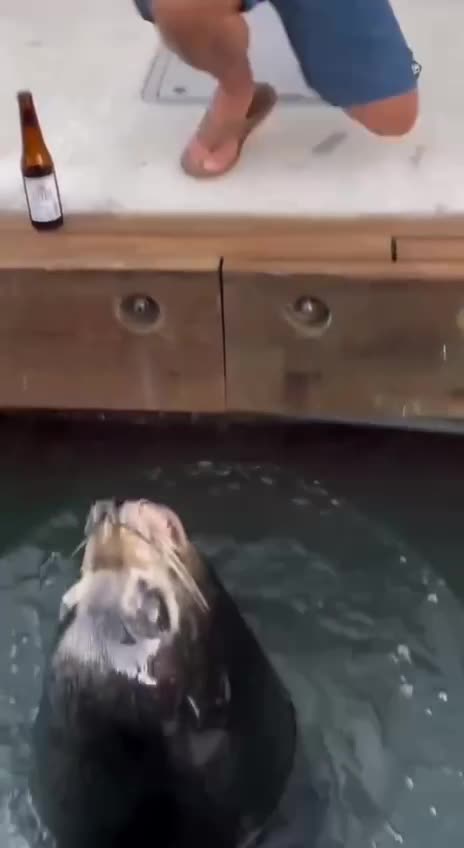 How you like me now Mr Joker 🤣🤣