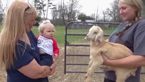 Baby imitating a little goat, it's so cute!