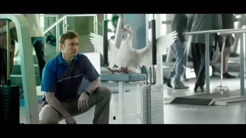 BEST FUNNY MOTIVATIONAL VIDEO