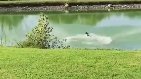The end 😂😂😂 #funny #fails #viral #shorts #justlaughfolder