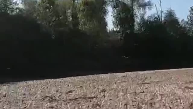 First view of the boat