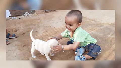 Child entertaining with dog