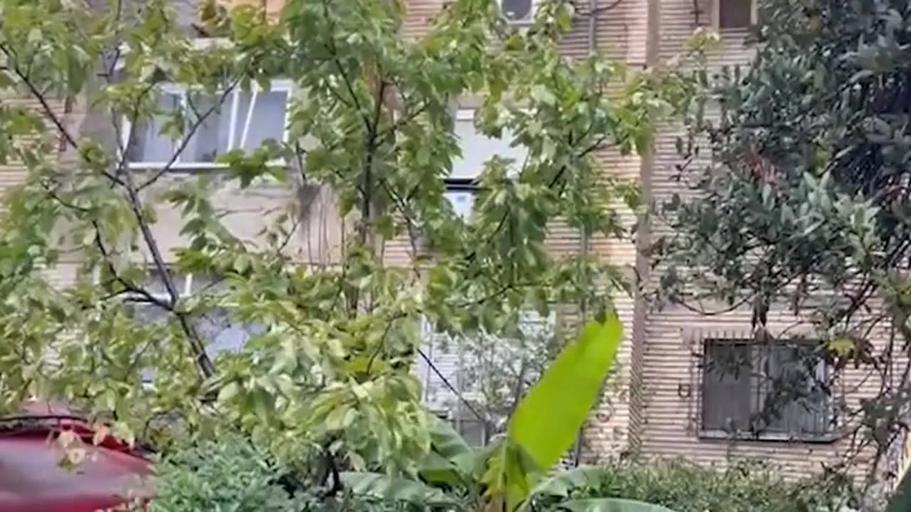 Humbi jetën nga zjarri, dalin pamjet e banesës së shkrumbuar gjatë natës në Tiranë