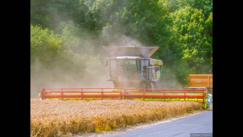 Odds and Ends Part 10 Nitrogen-Fixing Wheat