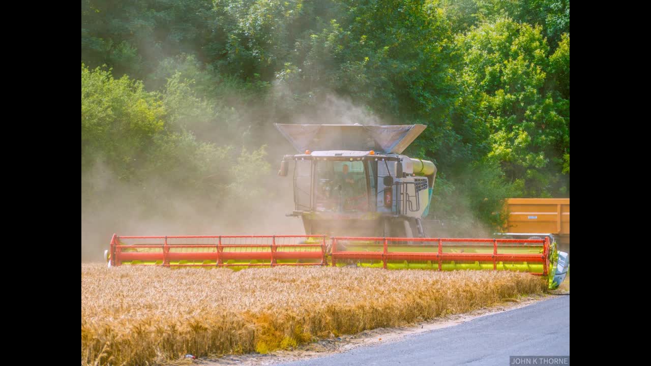 Odds and Ends Part 10 Nitrogen-Fixing Wheat