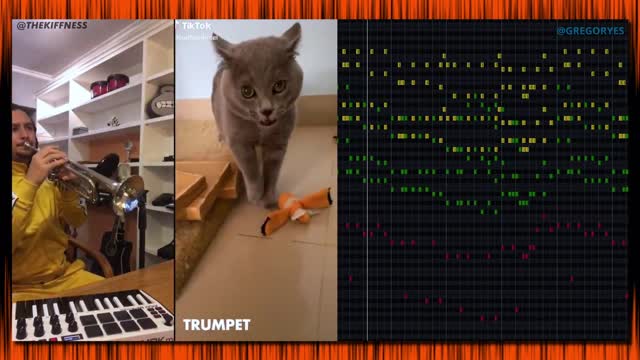 Funny Cat song with Kiffness X Alugalug Cat 2.0