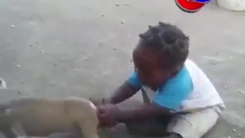 African Toddler bites dog back😂😂