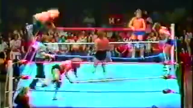 THE FREEBIRDS vs. TERRY TAYLOR/HACKSAW DUGGAN/TED DIBIASE