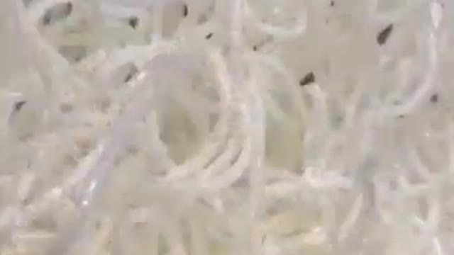 Funchosa + boiling oil