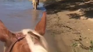 Riding Rose on the Missouri River in Jefferson City