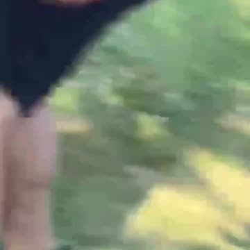 "He's Got a Gun! He's On the Roof!"