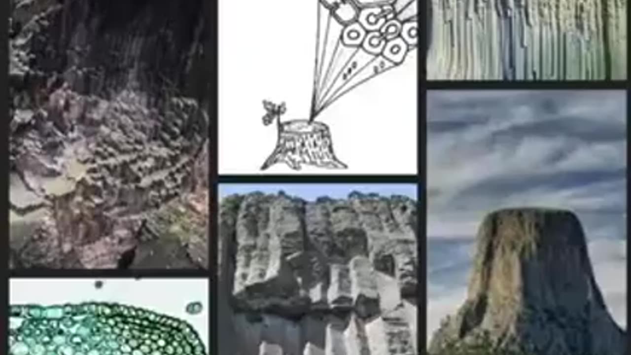WE HAVE DISCOVERED WHAT LOOKS TO BE A GIANT ROOT SYSTEM ☈ STEMMING FROM THE BASE OF DEVILS' TO