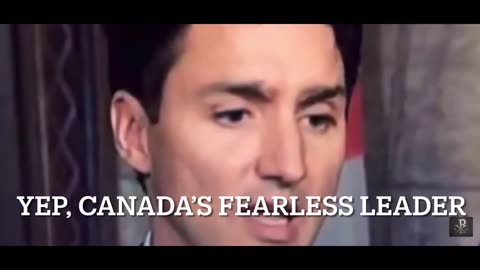 What’s with the eyebrows there Trudeau … LOL what a loser