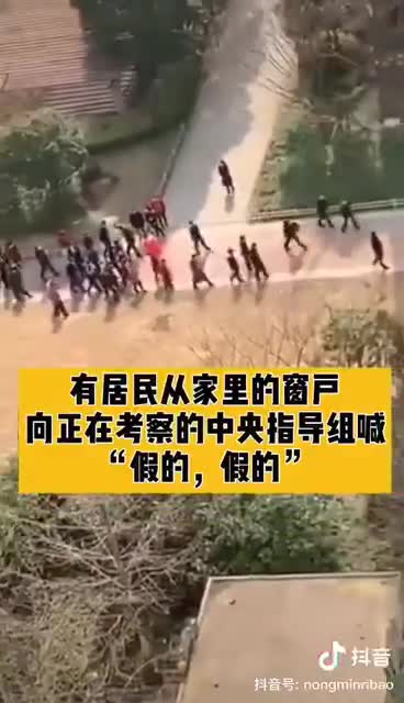 "Fake" - calls from Wuhan