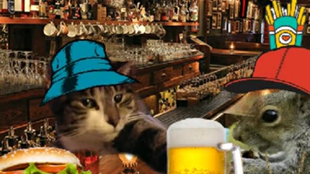 Squirrel in teh bar