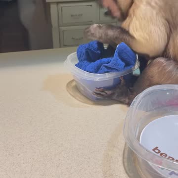 Gaitlyn Rae Clean up clean up everybody clean up!!